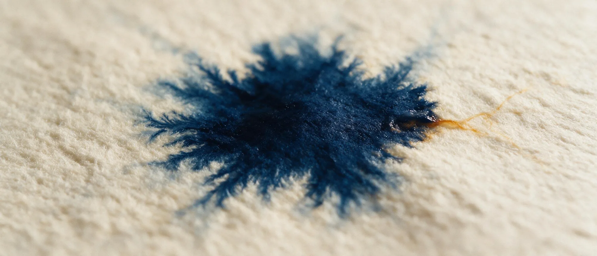 Indigo ink blooming through water